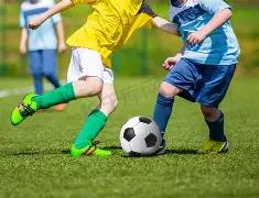 独家揭秘,万全款锁定,阿莫林合约,星空娱乐,星空娱乐官网,星空娱乐官网玩家首选