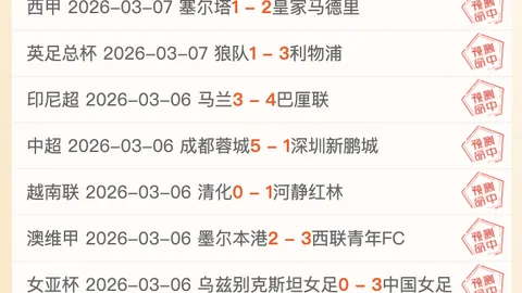 澳网赛场：中国球童尽显英姿